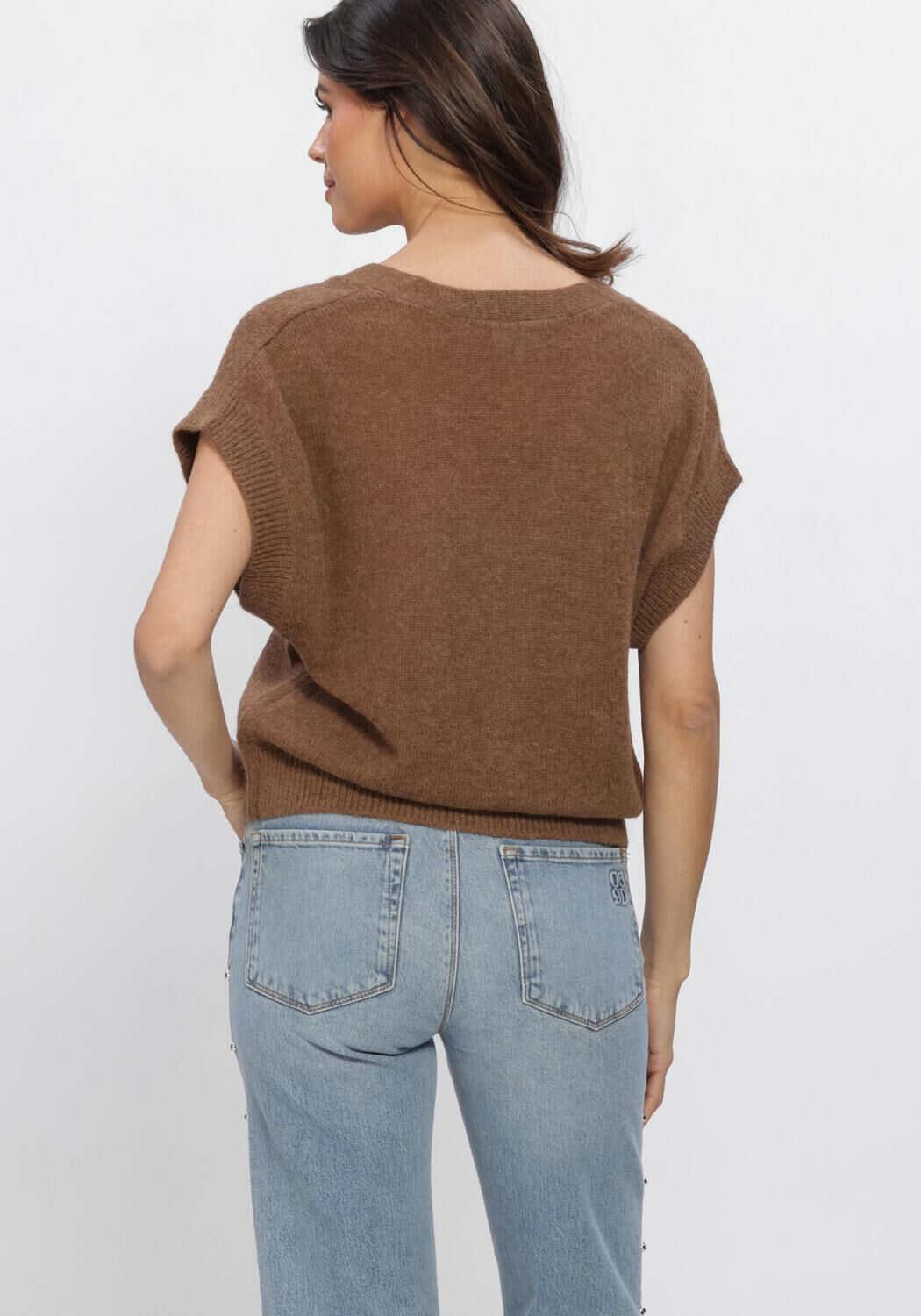 Braune DANTE6 Strickjacke ZYRA SHORT SLEEVE CARDIGAN - large