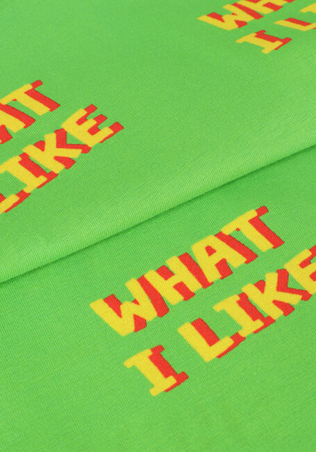 Grüne CARLIJNQ T-shirt WHAT I LIKE - CREWNECK T-SHIRT - large