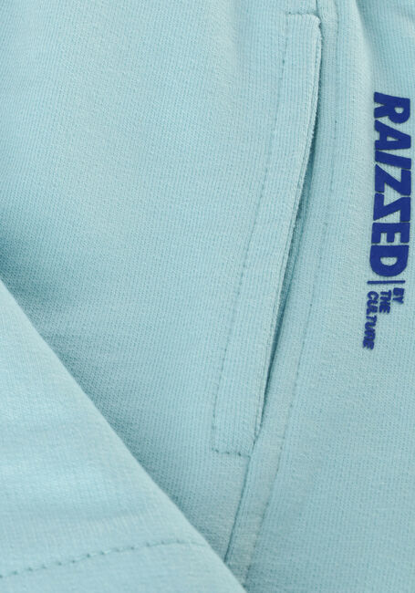 Blaue RAIZZED Kurze Hose BALDWIN - large