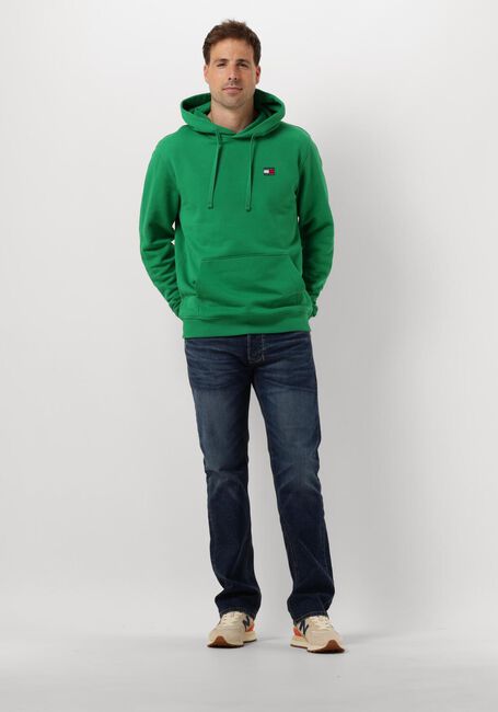 Grüne TOMMY JEANS Sweatshirt TJM REG BADGE HOODIE - large