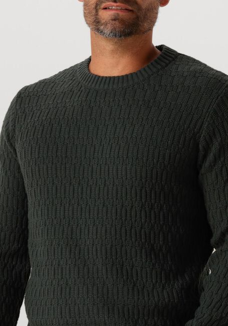 Dunkelgrün DSTREZZED Pullover NOVEL CREWNECK - large