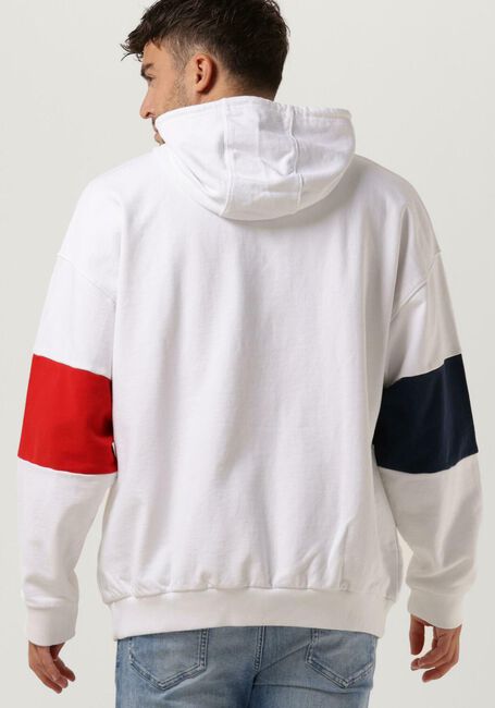 Mehrfarbige/Bunte TOMMY JEANS Sweatshirt TJM SKATER ARCHIVE BLOCK HOODIE - large