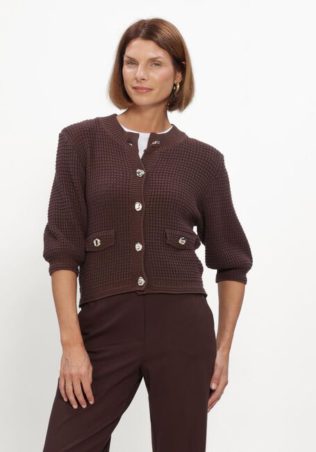 Braune BEAUMONT Pullover ANOUSHKA CARDIGAN - large