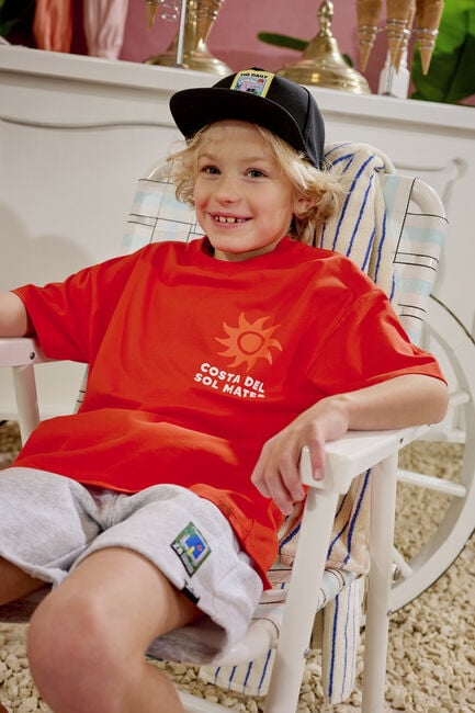 Graue Z8 Kurze Hose IBRA - large