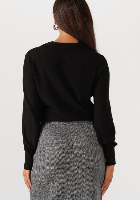 Schwarze CAROLINE BISS Pullover 4257 - large