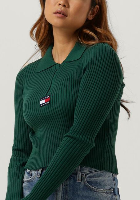 Grüne TOMMY JEANS Pullover SWEATERS HALF ZIPP - large