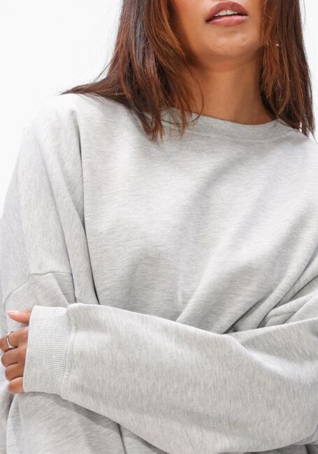 Hellgrau EST'SEVEN Tops & T-shirts MONCHOU SWEATER - large