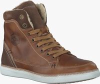 Cognacfarbene BULLBOXER Sneaker AGM509 - medium