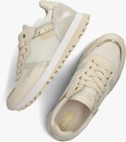 Beige LIU JO Sneaker low WONDER 01 - medium