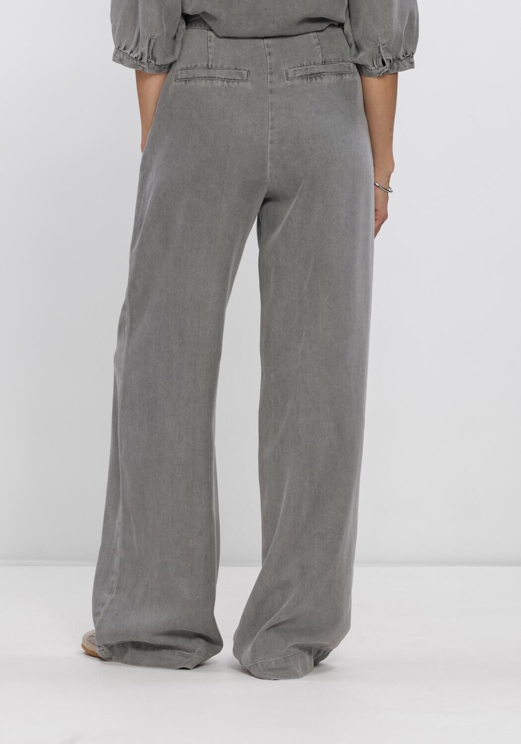 Graue FREEBIRD Hosen DNM-TENCELL-BLACK-26-1 - large