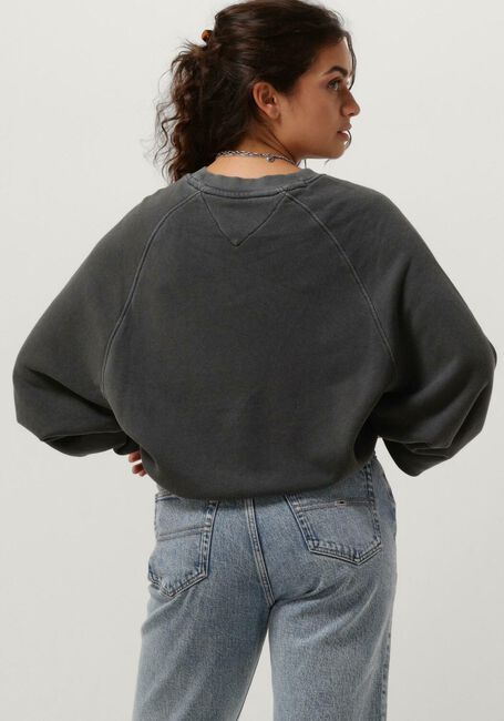 Dunkelgrau TOMMY JEANS Pullover TJW RLX LEO CREW - large