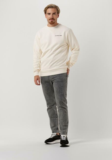 Nicht-gerade weiss COLOURFUL REBEL Sweatshirt CLRFL RBL BACK PRINT BASIC SWEAT - large