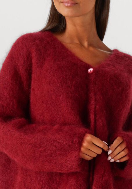 Bordeaux AMAYA AMSTERDAM Pullover & Cardigans ROOS - large