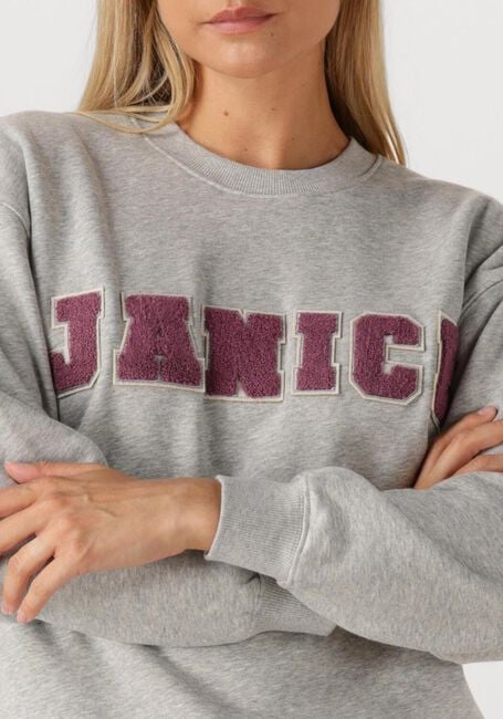 Graue JANICE Sweatshirt ANDY - large
