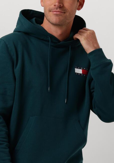 Grüne TOMMY JEANS Pullover & Cardigans TJM REG ESSENTIAL FLAG HOOD EXT - large