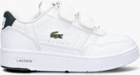 Weiße LACOSTE Sneaker low T-CLIP - medium