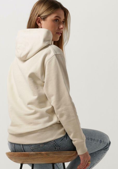 Beige TOMMY JEANS Pullover TJW RLX SMALL CLASSIC HOODIE EXT - large
