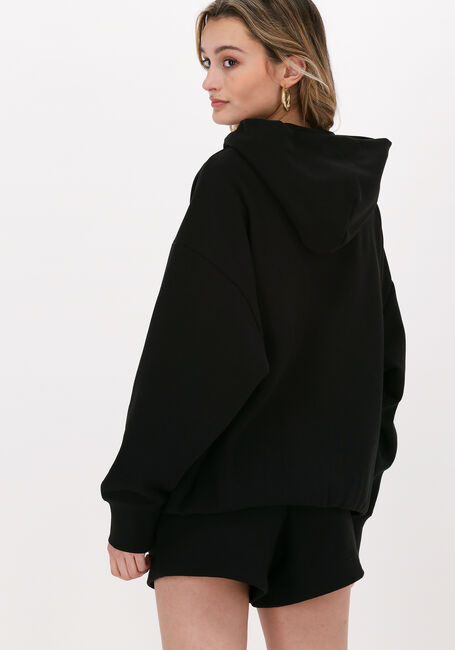 Schwarze CHAMPION Pullover HOODED SWEATSHIRT DMS PLAIN - large