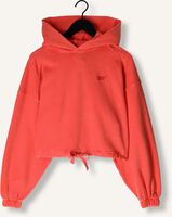 Rote TOMMY JEANS Sweatshirt TJW CRP GMD SCRIPT HOODIE Rote TOMMY JEANS Sweatshirt TJW CRP GMD SCRIPT HOODIE - medium