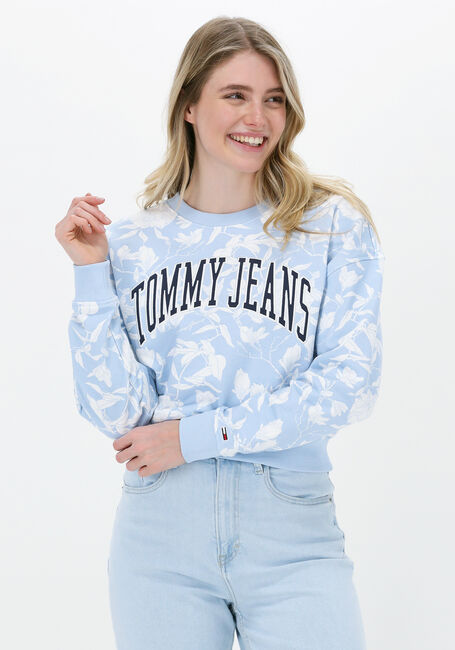 Hellblau TOMMY JEANS Pullover TJW AOP CREW - large