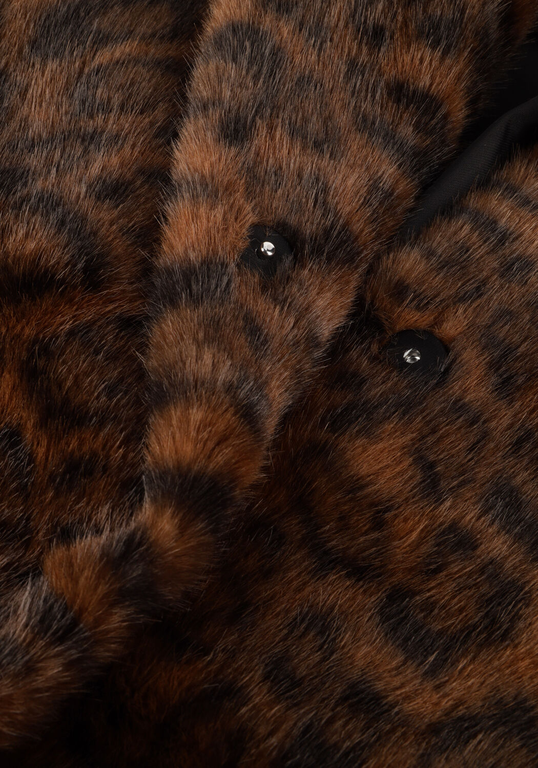 Braune NEO NOIR Jack MELODIE LEO FAUX FUR JACKETDAM - large