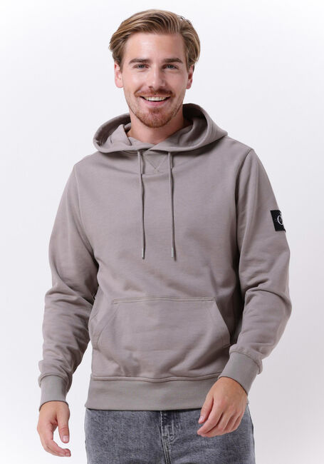 Taupe CALVIN KLEIN Sweatshirt MONOLOGO SLEEVE BADGE HOODIE - large
