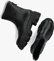 Schwarze STEVE MADDEN Ankle Boots MARYANN - medium