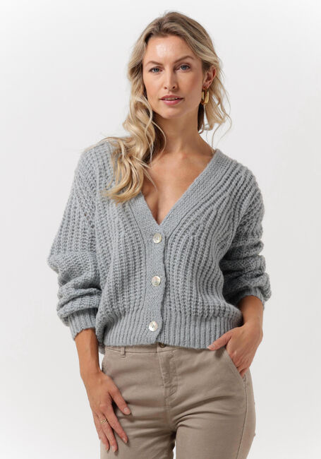 Blaue BY-BAR Strickjacke KATY CARDIGAN - large