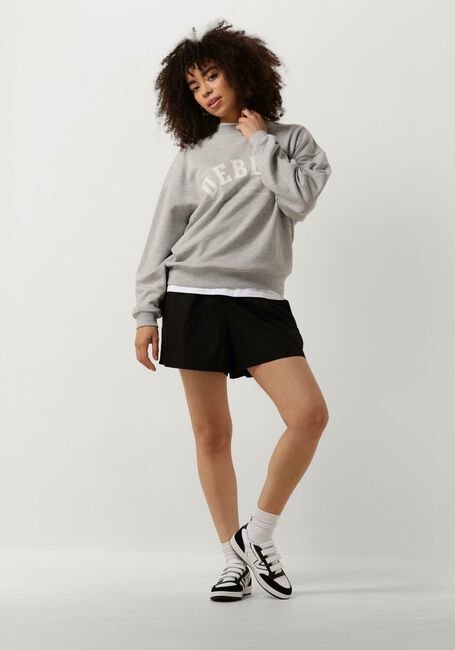 Graue DEBLON SPORTS Sweatshirt CIA SWEATER - large