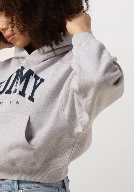 Hellgrau TOMMY JEANS Pullover TJW VTG VARSITY 1 HOODIE - large