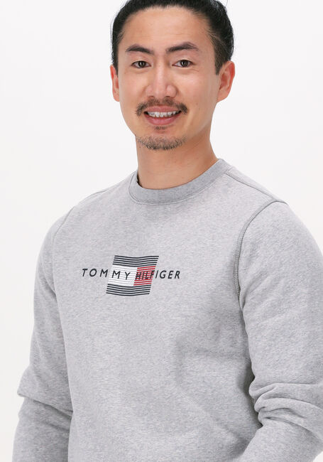 Hellgrau TOMMY HILFIGER Sweatshirt LINES HILFIGER CREWNECK - large