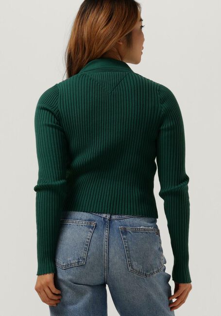 Grüne TOMMY JEANS Pullover SWEATERS HALF ZIPP - large