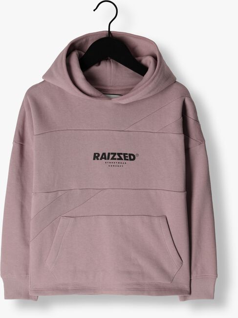 Rosane RAIZZED Sweatshirt DJURRE - large