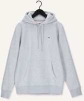 Hellgrau TOMMY JEANS Sweatshirt TJM REGULAR FLEECE HOODIE Hellgrau TOMMY JEANS Sweatshirt TJM REGULAR FLEECE HOODIE - medium