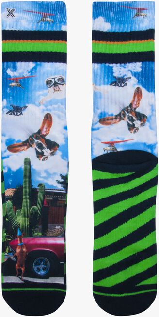 Mehrfarbige/Bunte XPOOOS Socken WHO'S FIRST - large