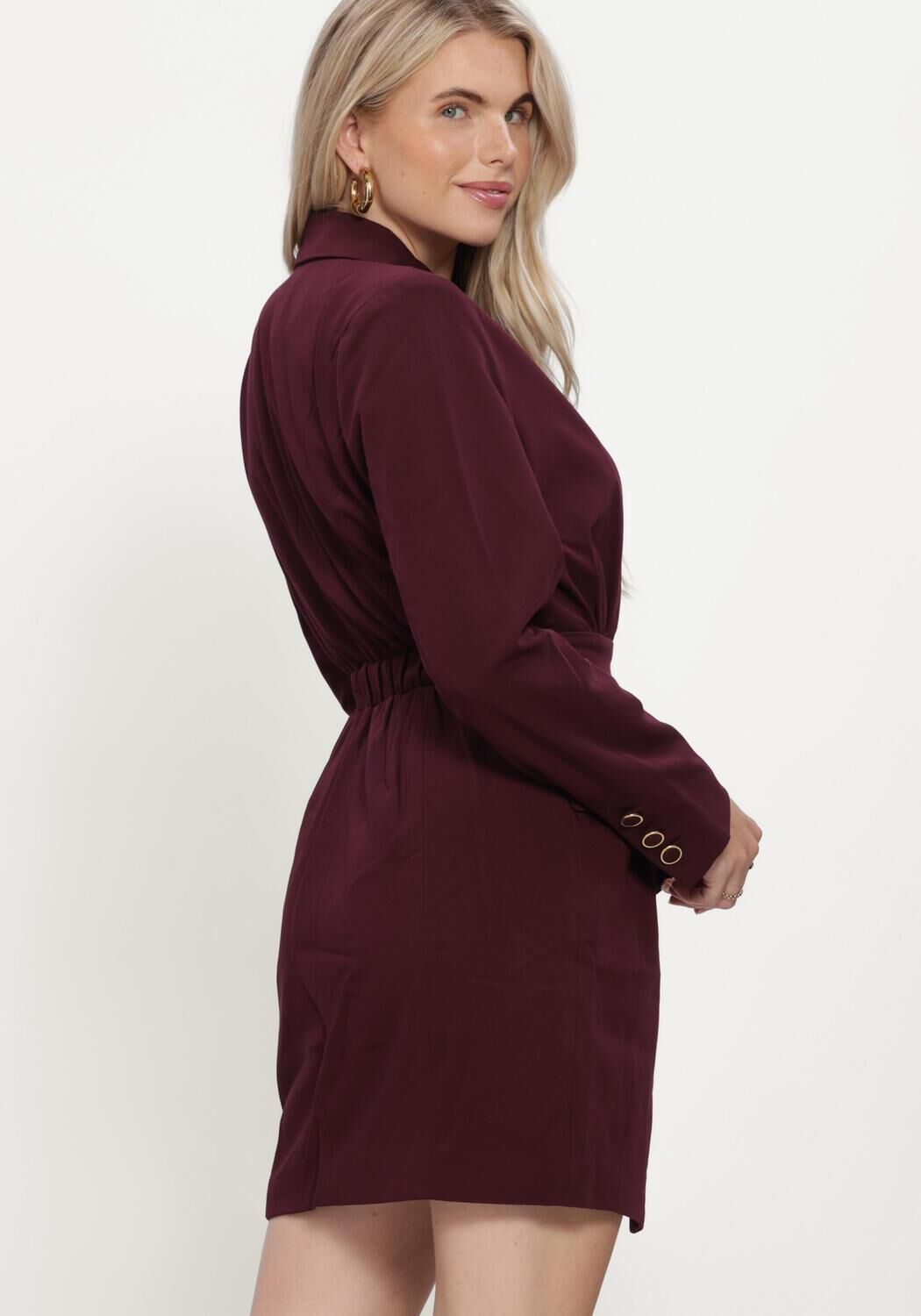 Bordeaux FREEBIRD Minikleid BLAZORA - large