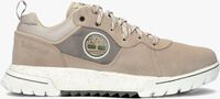 Taupe TIMBERLAND Sneaker low BOULDER TRAIL LOW
