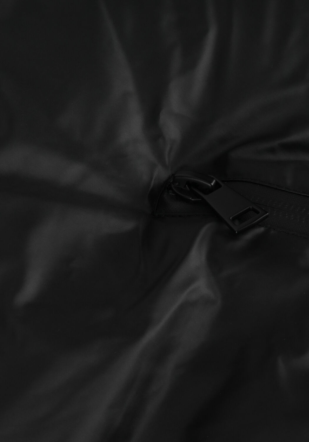 Schwarze NEO NOIR Wattierte Jack FOX C PUFFER JACKET - large