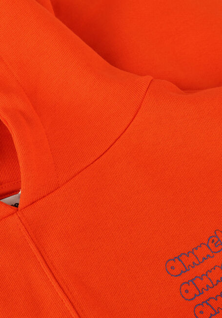 Orangene AMMEHOELA Pullover ERNEST - large