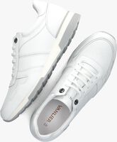 Weiße VAN LIER Sneaker low 2415510 - medium