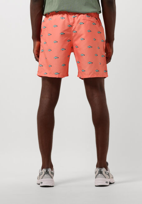 Orangene SHIWI Badehosen MEN SWIMSHORT CLOWNFISH - large