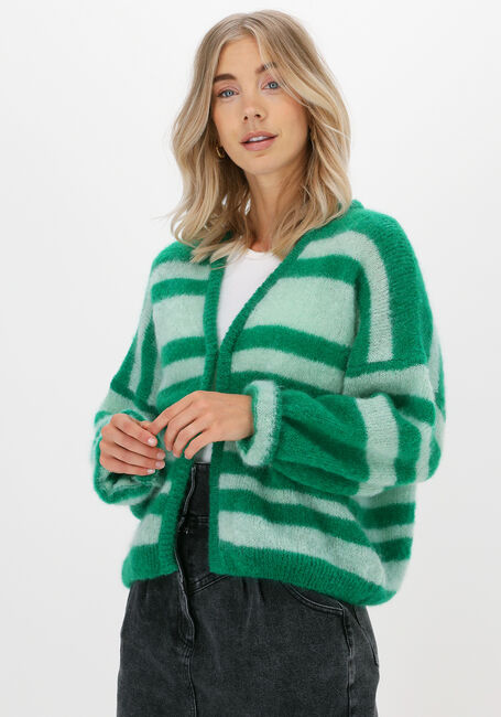 Grüne LEON & HARPER Strickjacke NIGNA MMP01 PLAIN - large