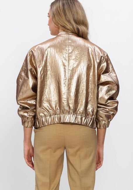 Goldfarbene JOSH V Jack KELSEY - large