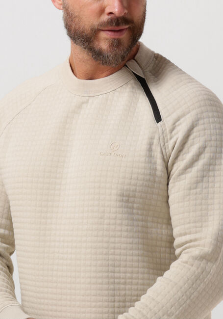 Beige CAST IRON Pullover LONG SLEEVE R-NECK JACQUARD WAFFLE COTTON BLEND - large