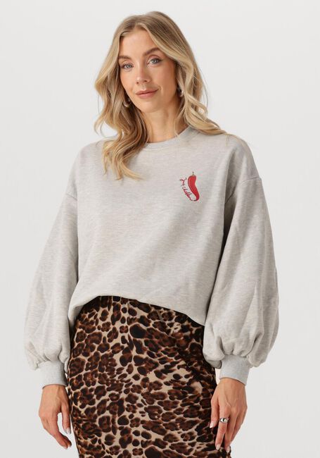 Graue YDENCE Sweatshirt SWEATER JUST CHILLIN - large