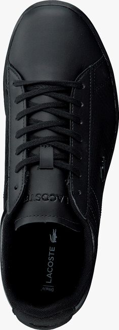 Schwarze LACOSTE Sneaker low CARNABY EVO 318 - large