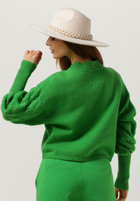 Grüne ANOTHER LABEL Pullover IMANI KNITTED PULL - large