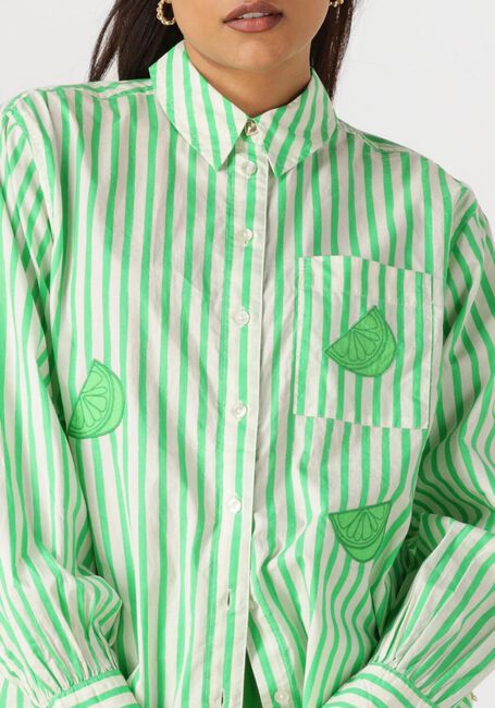Grüne FABIENNE CHAPOT Blusen ALEX BLOUSE - large