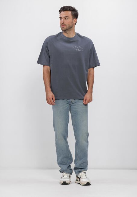 Graue CALVIN KLEIN T-shirt 16S APRIL GRAPHIC SEASONAL FASHI - large