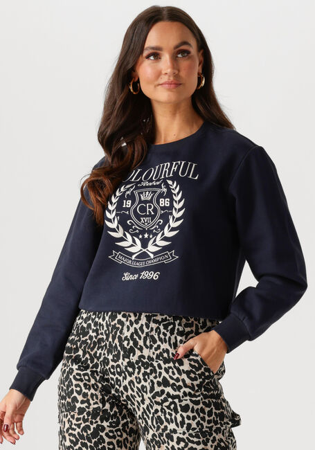 Schwarze COLOURFUL REBEL Sweatshirt COLLEGE 1986 EMBRO RELAXED SWEAT - large